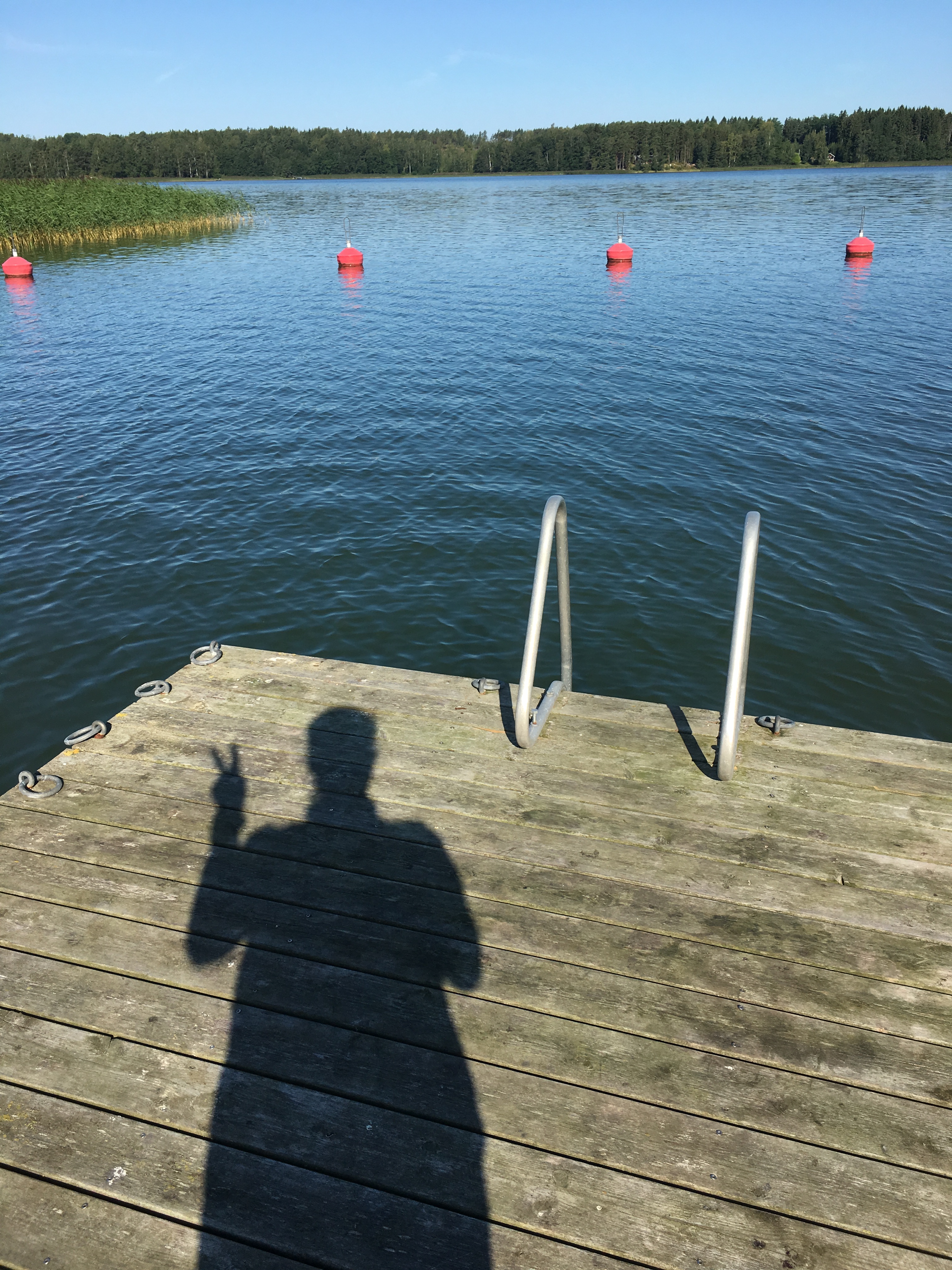 48443394746_892a36b79a_o