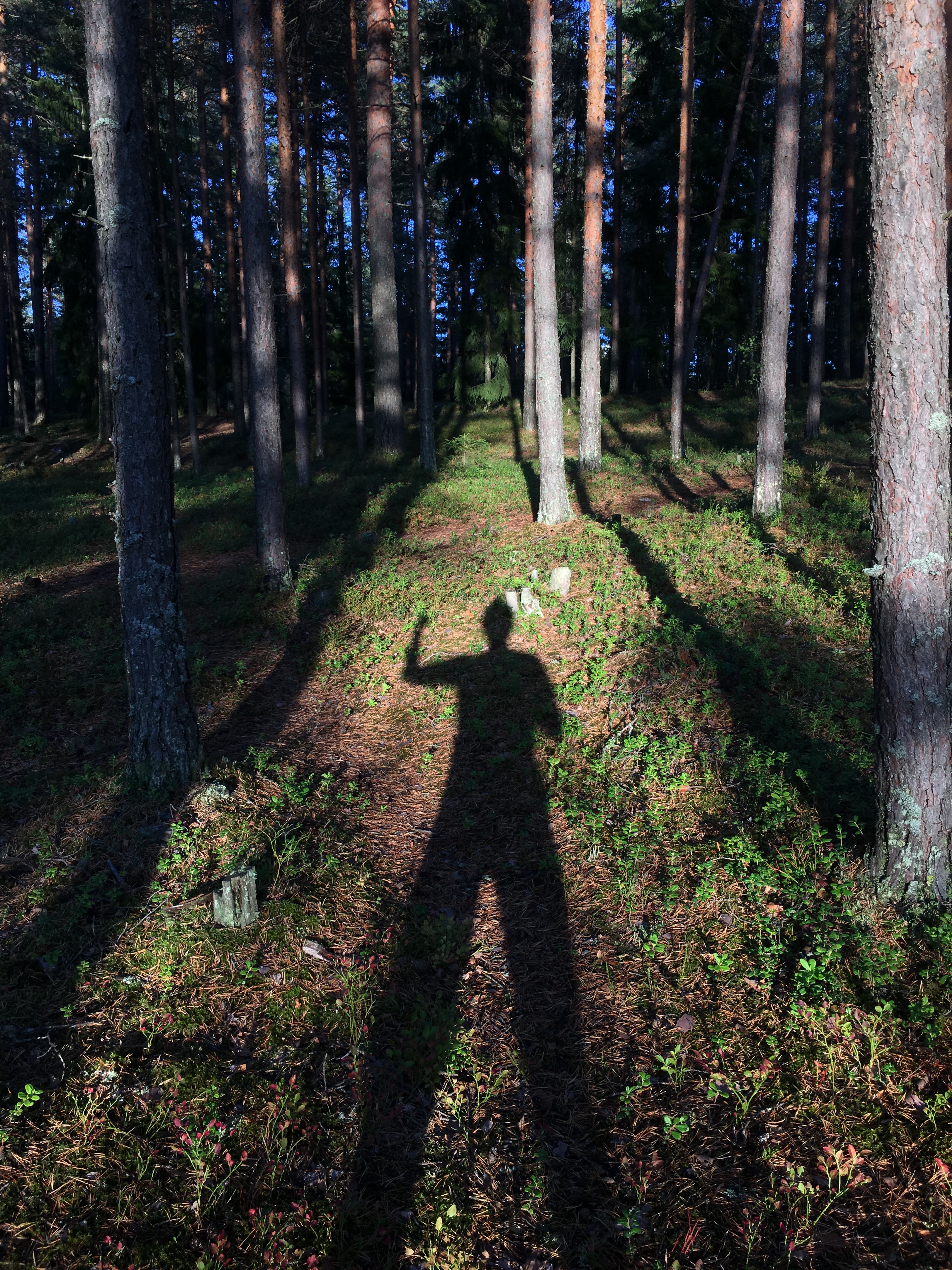 48687317501_b6ed15772e_o