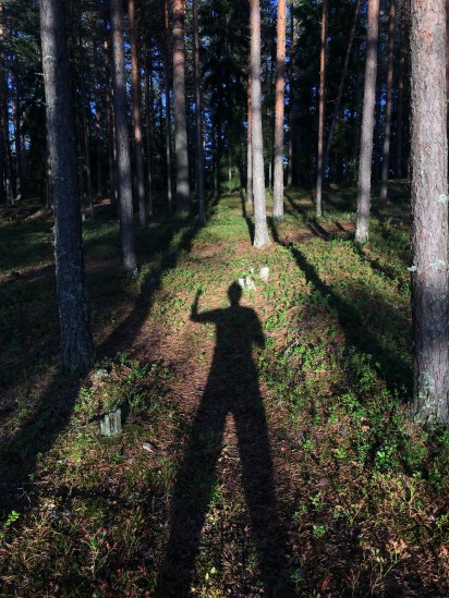 48687317501_b6ed15772e_o