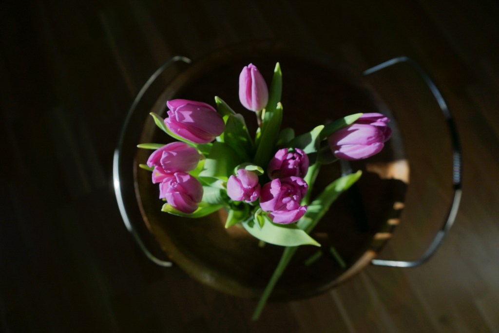 It’s tulppaani time!