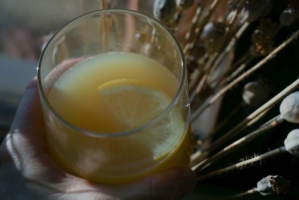 Potkua inkivääri-sitruunamehusta