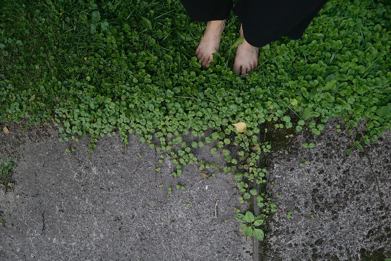 Kesän muistot talteen