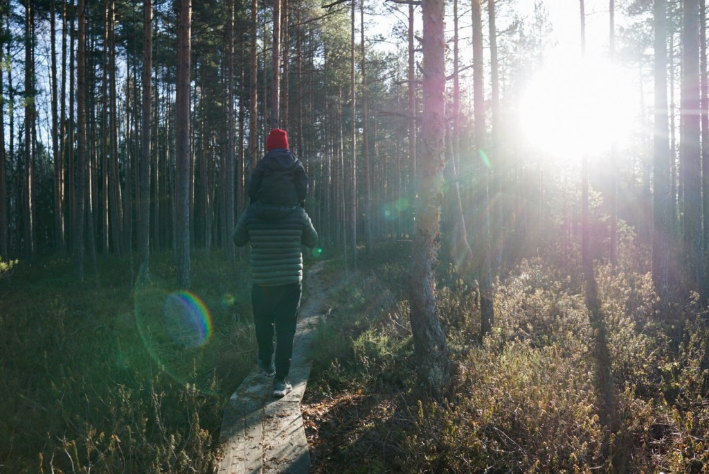 Retki Seitsemää veljestä pitkin Petkelsuolle